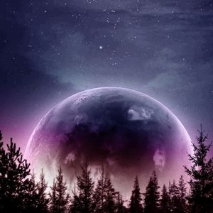 Meet your Posher, Meg